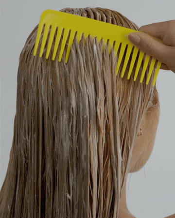 Daily Workout Conditioner